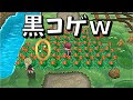 画像をダウンロード ポケモン xy 色違い 一覧 181148-ポケモンxy 色違い 一覧
