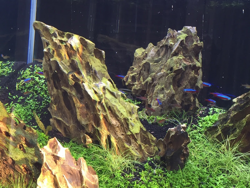 近況 Outer Rim 6045