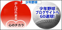 にほんブログ村 野球ブログ 少年野球へ
