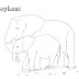 free printable elephant coloring pages for kids - free printable elephant coloring pages for kids | printable elephant coloring pages for kids