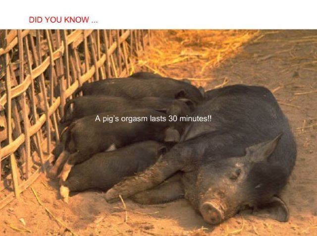 Did you know? (24 pics)