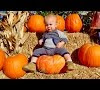 Baby In Pumpkin Patch