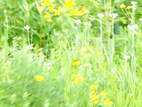 DSC01789 - Version 2