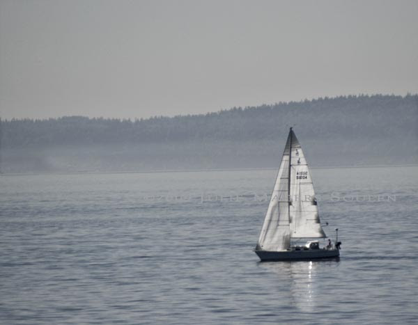 sailboat in Seattle harbor