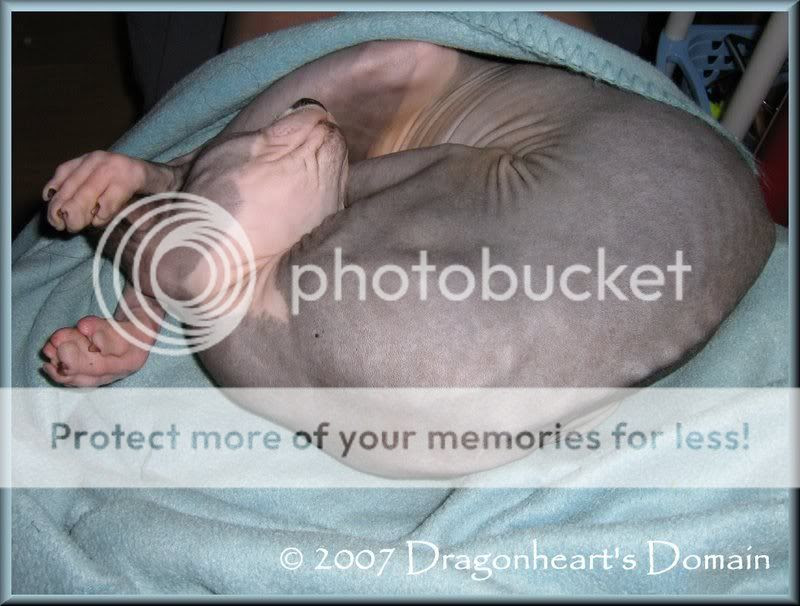 Dragonheart asleep Dragonheart asleep