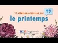 [Le plus populaire! ] citation été fleur 262312