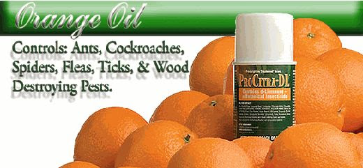 Orange Oil Lomax Termite Control