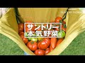 サントリー 本気野菜苗 通販 310497