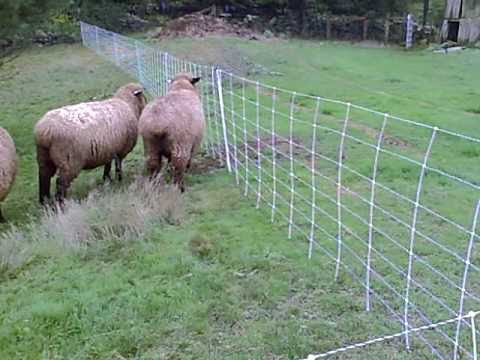 FENCING - THE FARM STORE