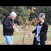 Growing Oak Trees In South Africa Download Lyrics Mp3 and Mp4