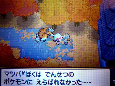 色ホウオウ Ss 色ポケめも