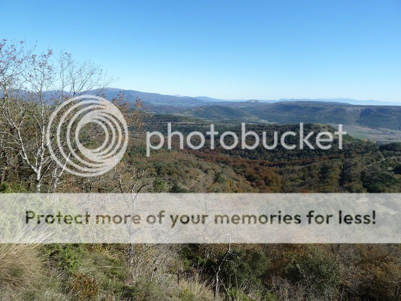  photo P1130950_resize.jpg