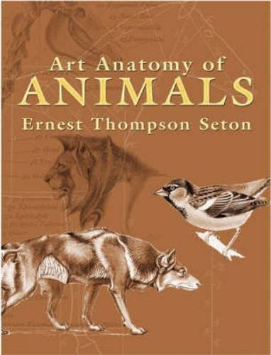 Art Anatomy of Animals (Dover Anatomy for Artists), by Ernest Thompson Seton