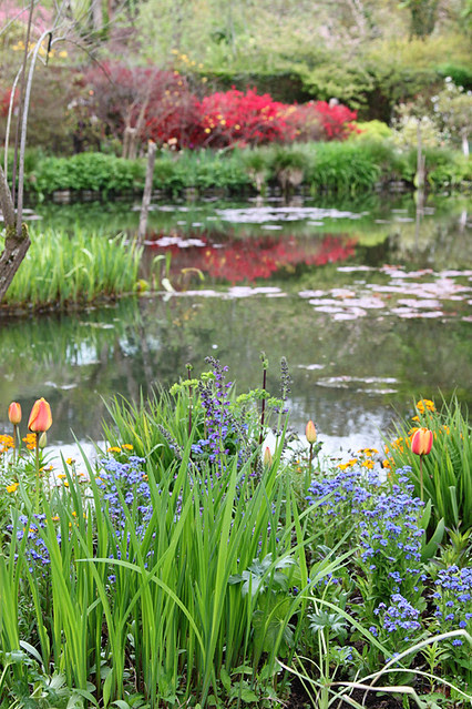 Some lilly pads adorn the pond at Monet's house in Giverny, France 
