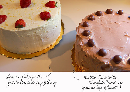 Beefy Bakes