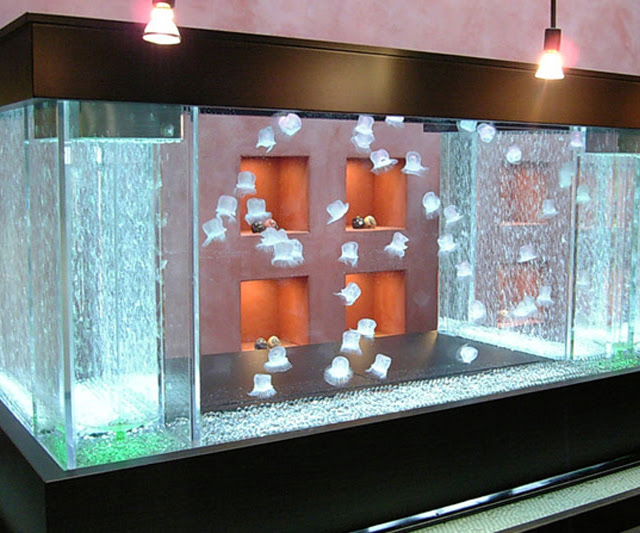 人工クラゲの水槽レンタル 海月トータルサポート