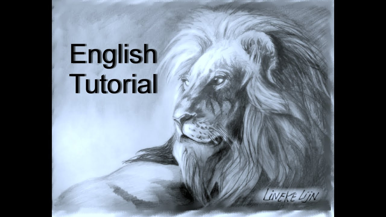 How to draw a Lion - YouTube