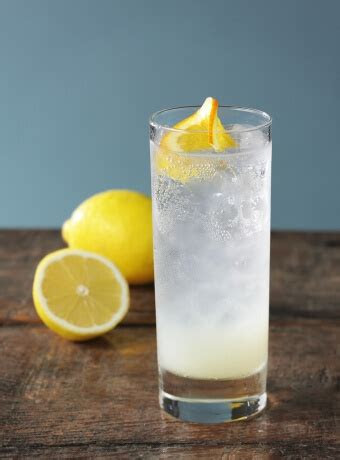 tom collins      classic gin cocktails