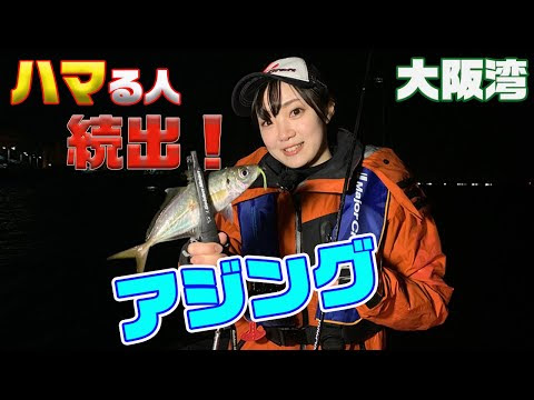 明石沖の船タコ ガッ釣り関西 51回 年7月18日放送 メジャークラフト Major Craft Web