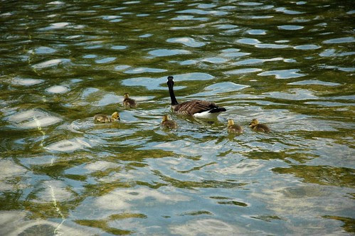 washington, dc (11)b
