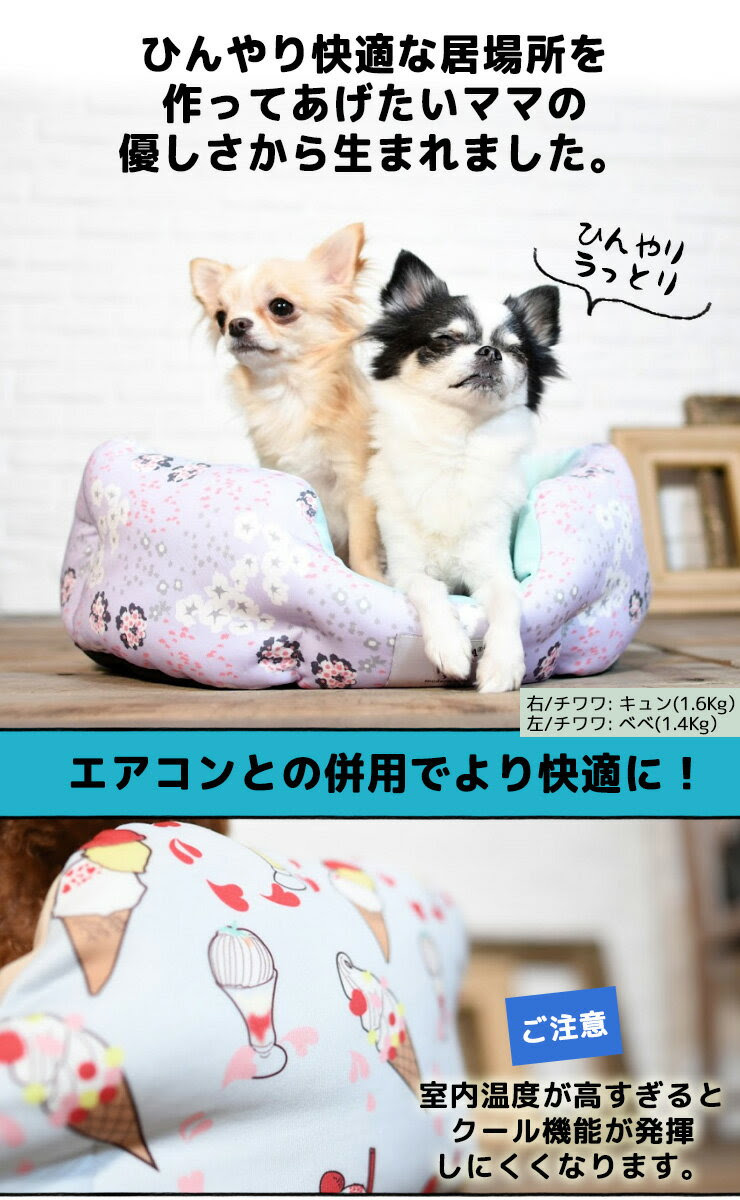 ペット ペットグッズ 犬用品 ベッド マット 寝具 クッション Radica ラディカ 春 夏 新作 便利な猫用 ベッド マット 寝具通販サイト By犬の服 Radica ラディカ 便利な猫用 ベッド マット 寝具通販サイト