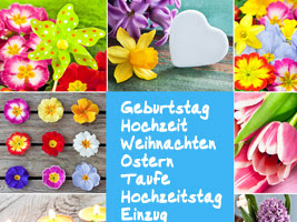 geburtstag wünsche an die beste freundin