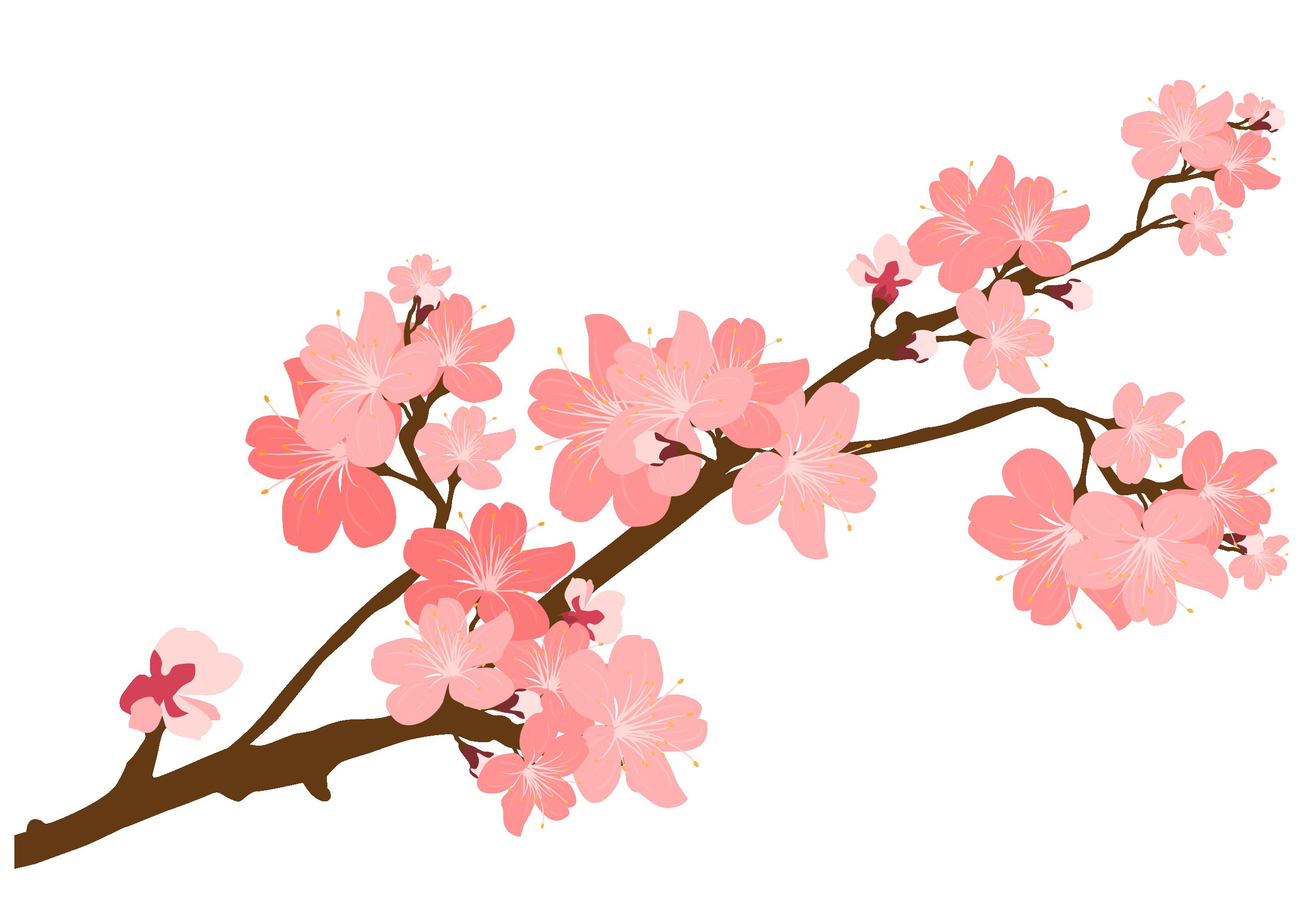 Browse and download free clipart by tag branch on ClipArtMag