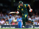 David Warner made his first half-century of the series David Warner made his first half-century of the series