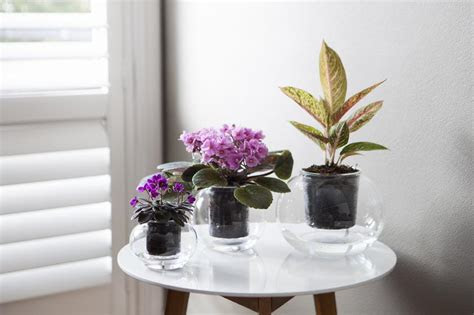 This video shows how to do it, using just a few tools. Large Self-Watering Glass Pot - Samuel Flower