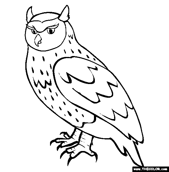 Owl coloring pages