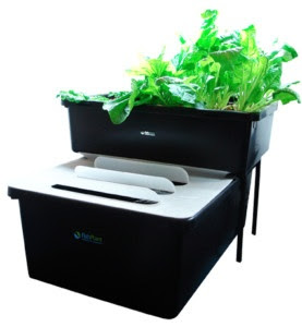 ... Family Unit - Aquaponic System Kit, Grow Fish &amp; Vegetables Aquaponics
