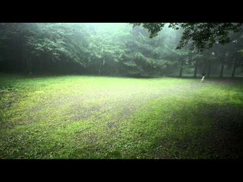 แปลเพลงวันนี้เมื่อปีก่อน - Moderndog (Today, Last year)