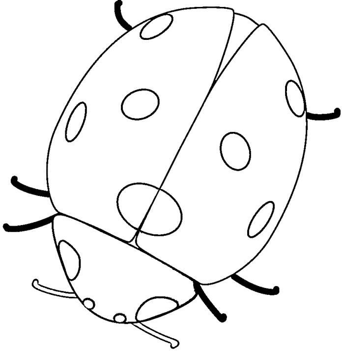 Free Free Ladybug Coloring Pages Download Free Free Ladybug Coloring Pages Png Images Free Cliparts On Clipart Library