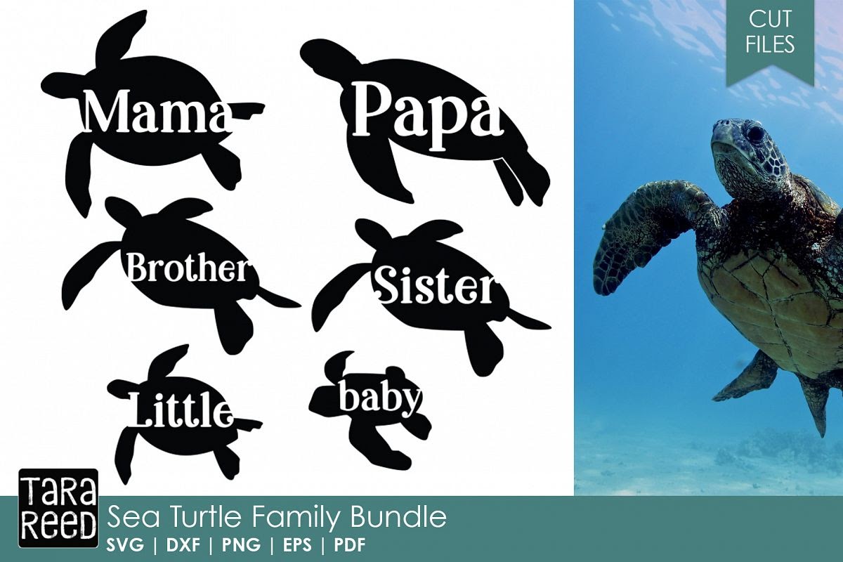 Download Baby Turtle Svg - 315+ SVG Design FIle for Cricut, Silhouette and Other Machine