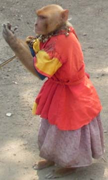 radha