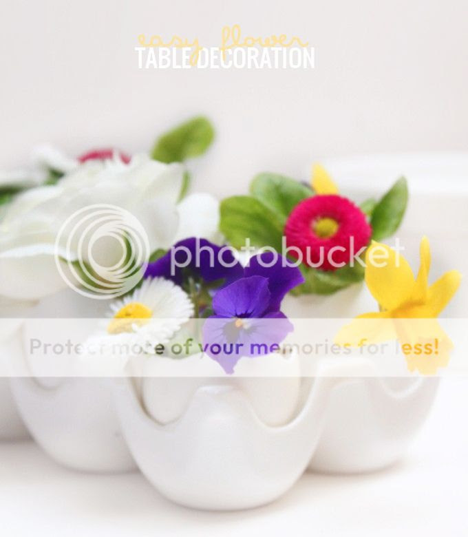 http://i402.photobucket.com/albums/pp103/Sushiina/cityglam/eierdeko_zps33cdbd2e.jpg
