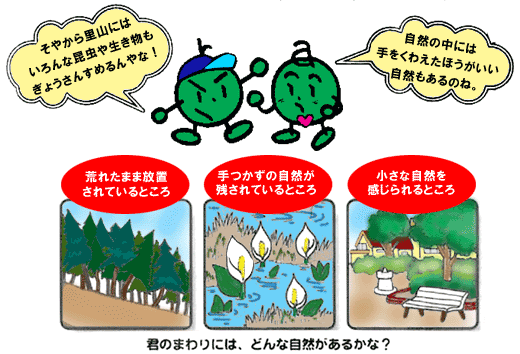 環境クイズ マンガ リサーチ Let S チャレンジ こどもエコクラブ