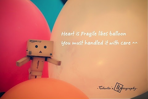 Life Danbo on Box  Cute  Danbo  Life  Love   Inspiring Picture On Favim Com