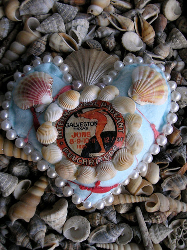Sea Pageant Seashell! 2