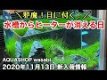 [コンプリート！] 水槽 ヒーター レイアウト 325321