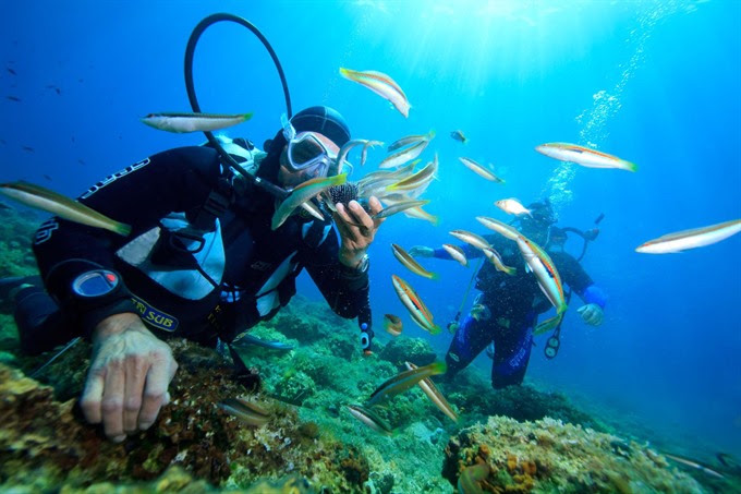 Apart from taking a tour around islands in Nha Trang Bay, tourists to the central coastal city are advised to sign up for a scuba diving service to admire the coral reefs.