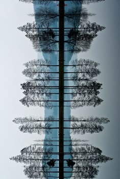Symmetrical Balance
