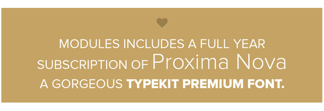 Modules WordPress Theme Modules WordPress Theme