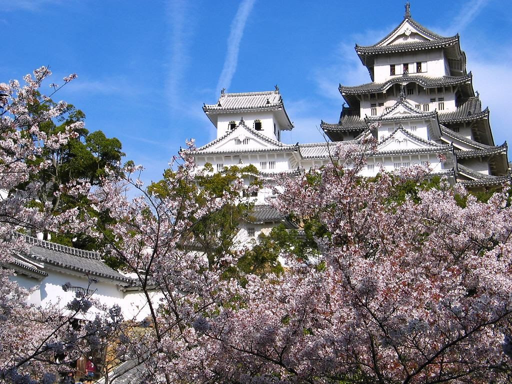 姫路城の桜 姫路城公園の花見 壁紙写真集 無料写真素材