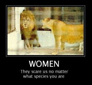 Ha Ha The Queen Of The Jungle Meme By Navywife801 Memedroid