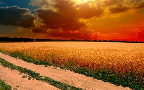 We specialize in mac or pc computer repair and computer networking. ml99-hot-sunny-day-nature-farm-wallpaper
