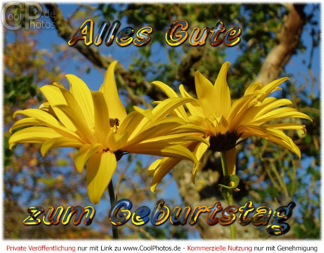 zum geburtstag oma spruch