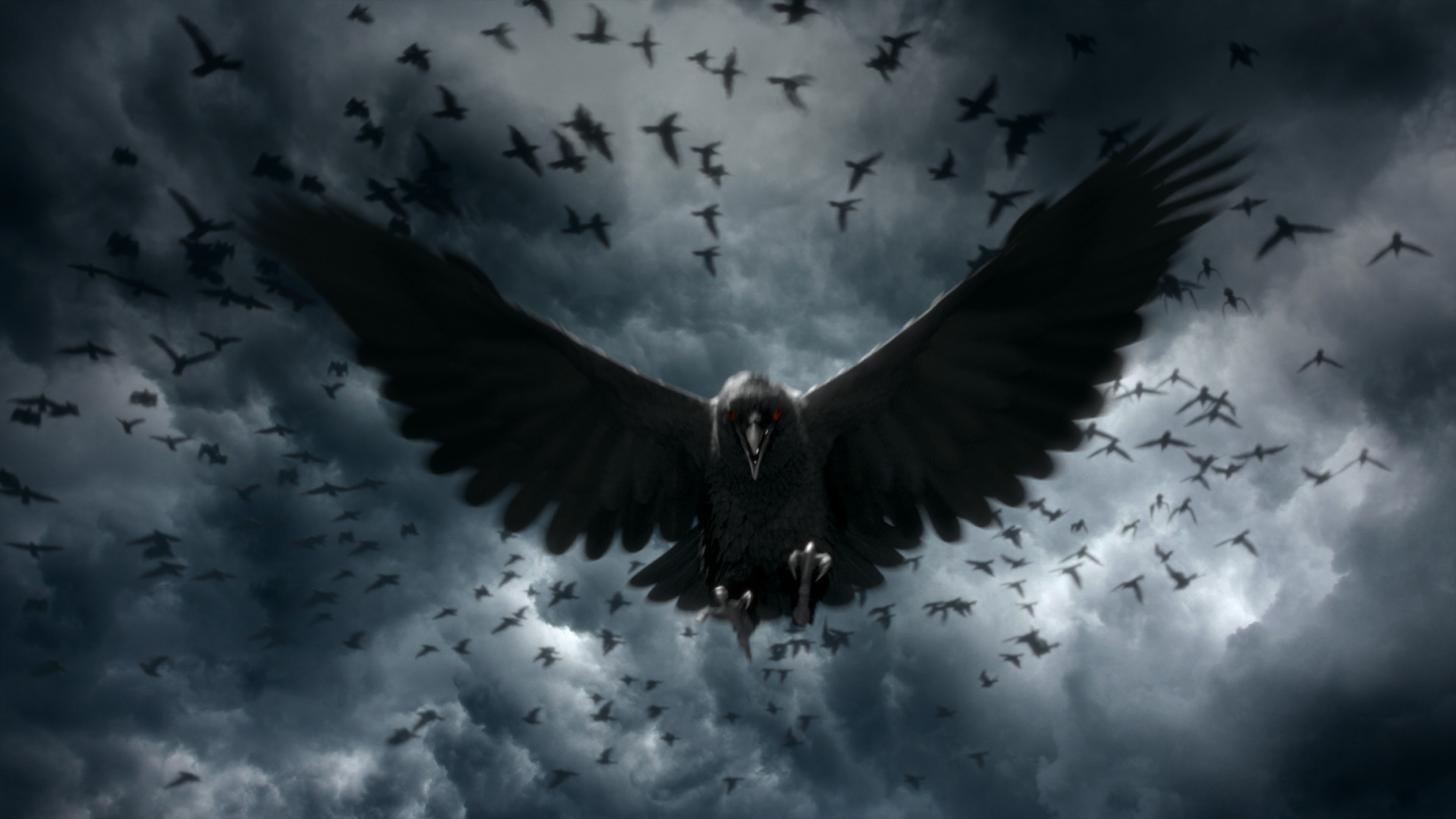 crows 8