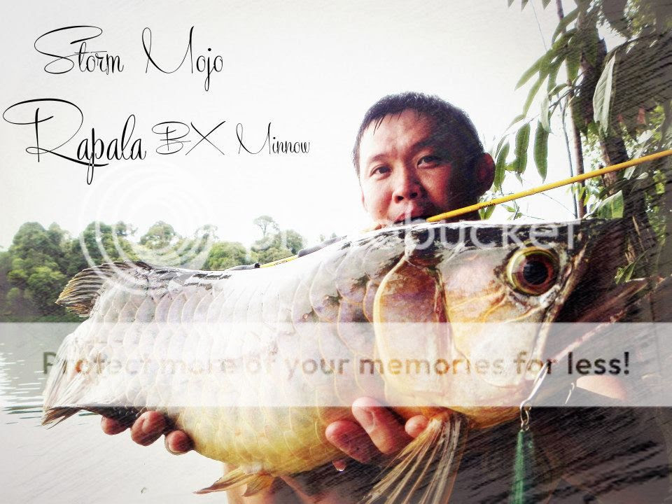  photo Aro_zpsa5c04d01.jpg