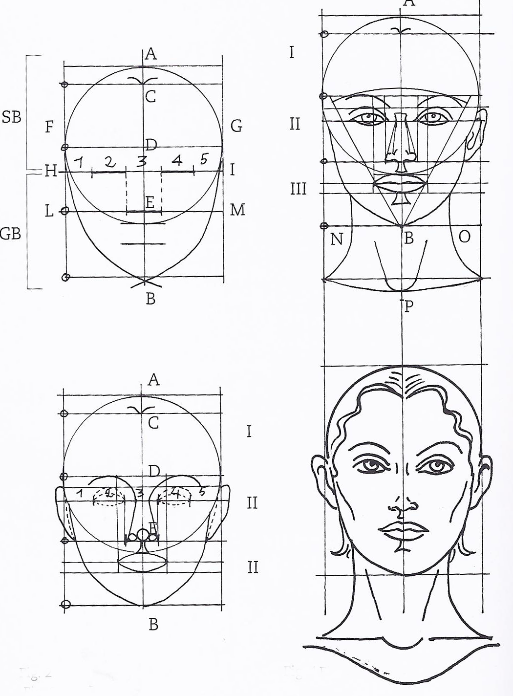 The Golden Ratio In 3d Human Face Modeling Valentin Schwind